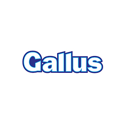 Gallus