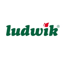 Ludwik (لهستان)